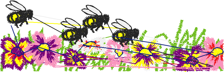 Fruit & Vegetables 8 (16)