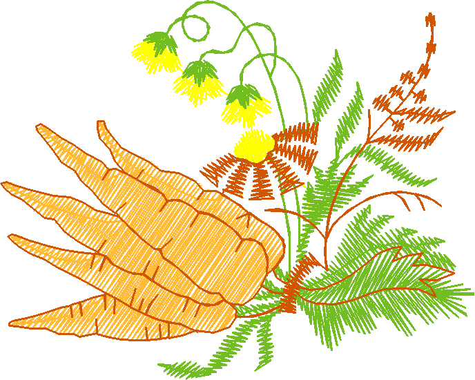 Fruit & Vegetables 8 (4)