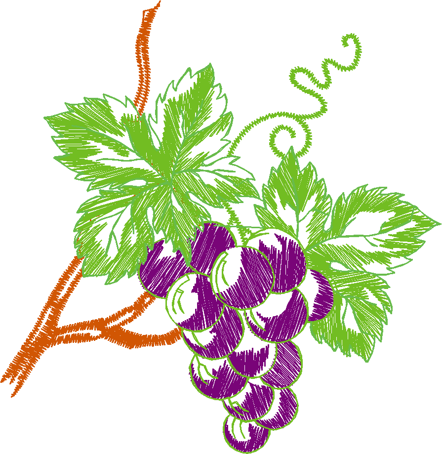 Fruit & Vegetables 8 (5)