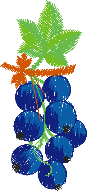 Fruit & Vegetables 8 (7)