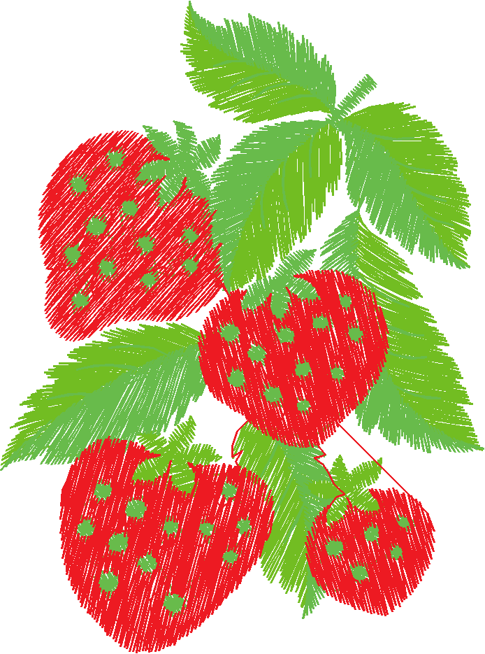 Fruit & Vegetables 8 (9)