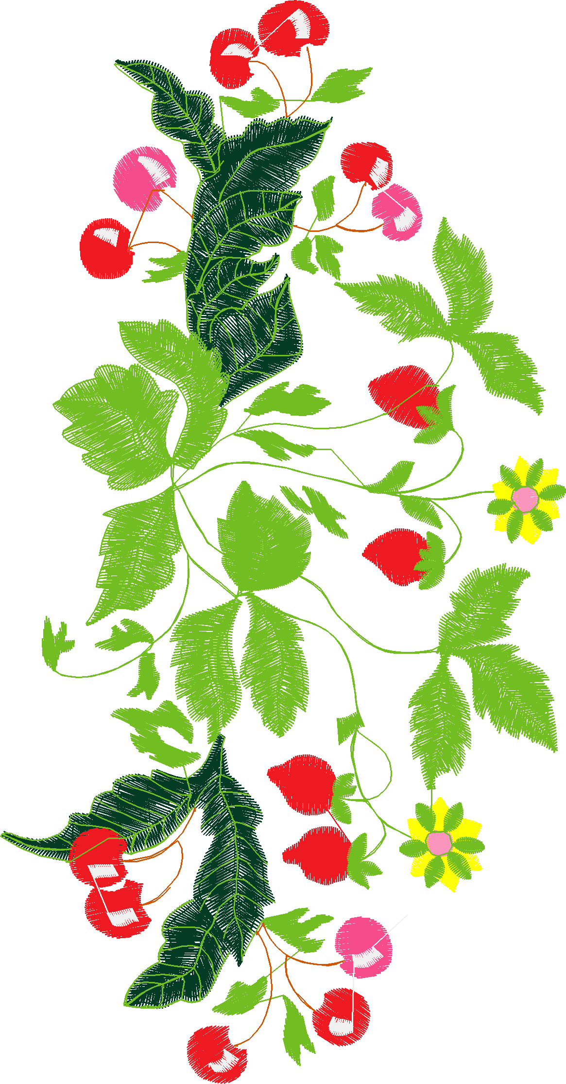 Fruit & Vegetables 9  (9)