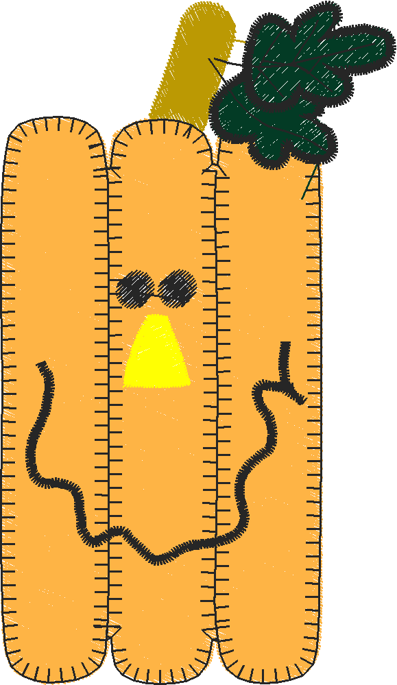 Funky Pumpkins 1  (6)