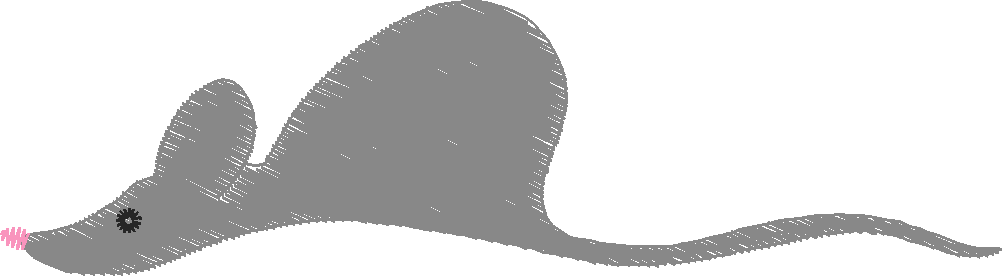 Funny Animals 1  (118)