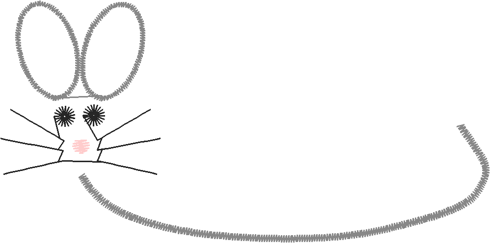 Funny Animals 1  (120)