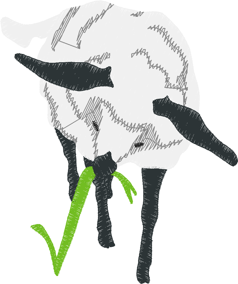 Funny Animals 1  (130)