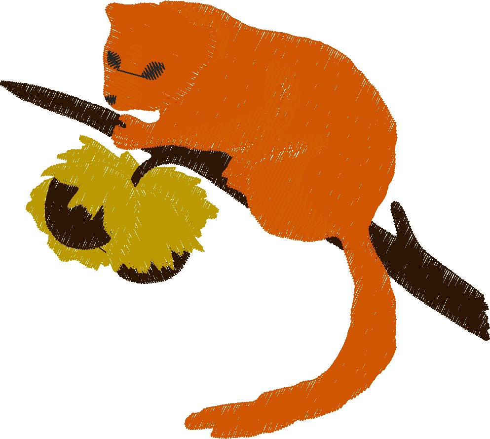 Funny Animals 1  (140)