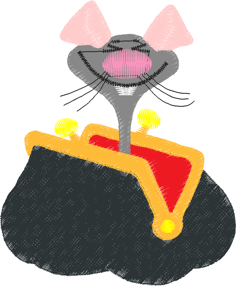 Funny Animals 1  (150)