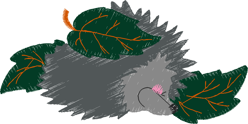 Funny Animals 1  (154)