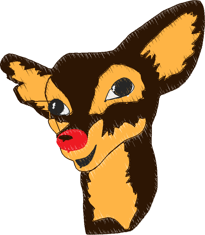 Funny Animals 1  (16)