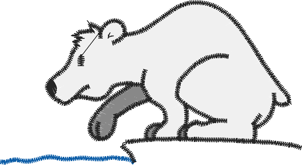 Funny Animals 1  (180)