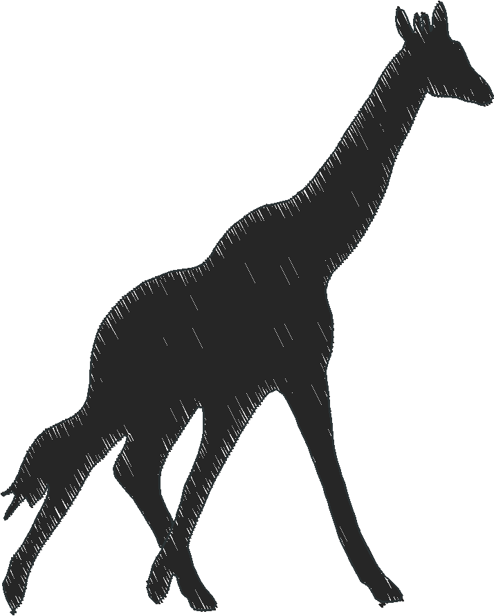 Funny Animals 1  (21)