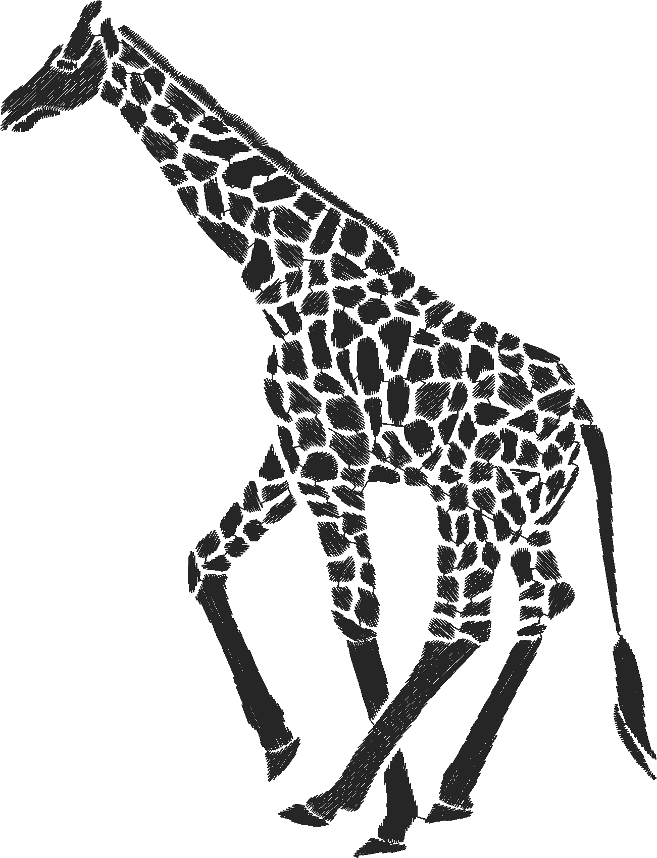 Funny Animals 1  (221)