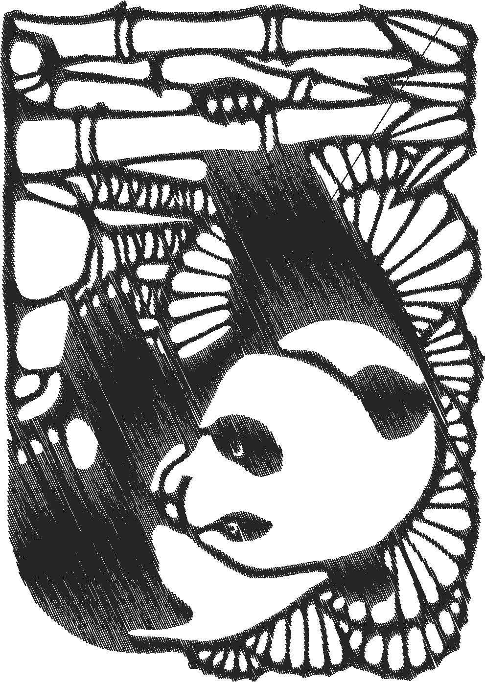 Funny Animals 1  (225)