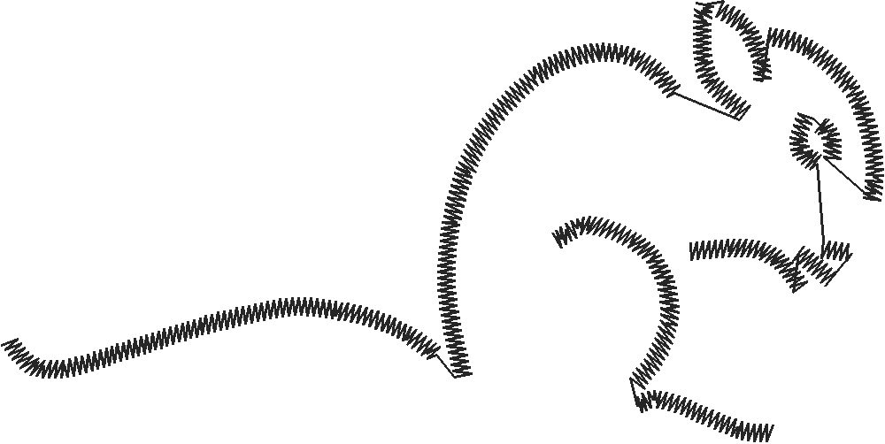 Funny Animals 1  (24)