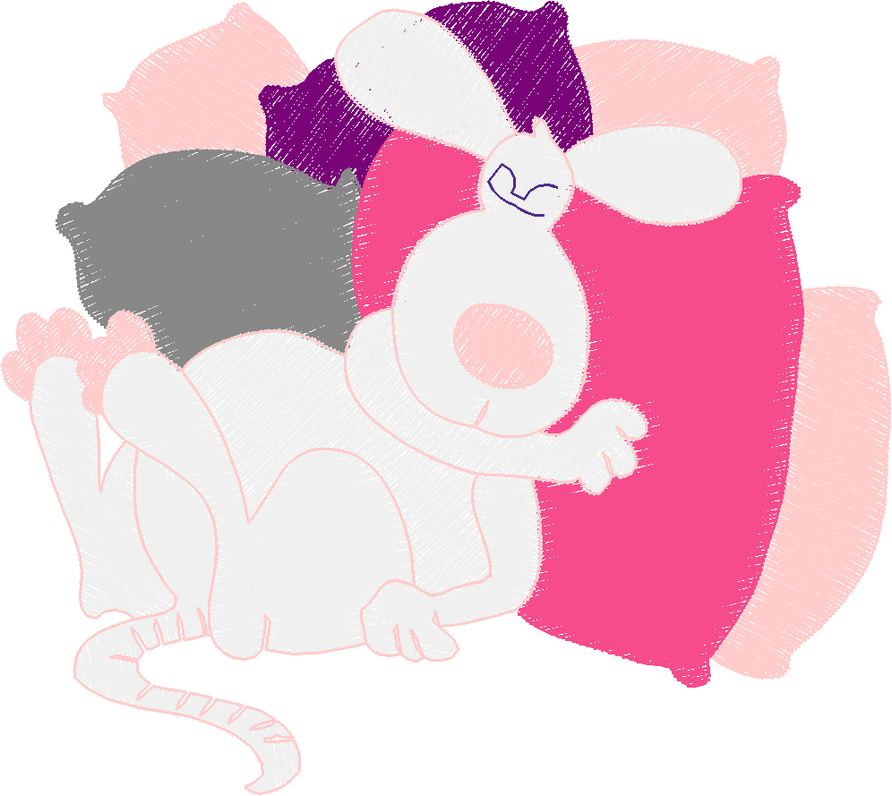 Funny Animals 1  (269)