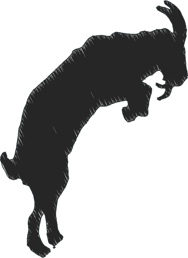 Funny Animals 1  (31)