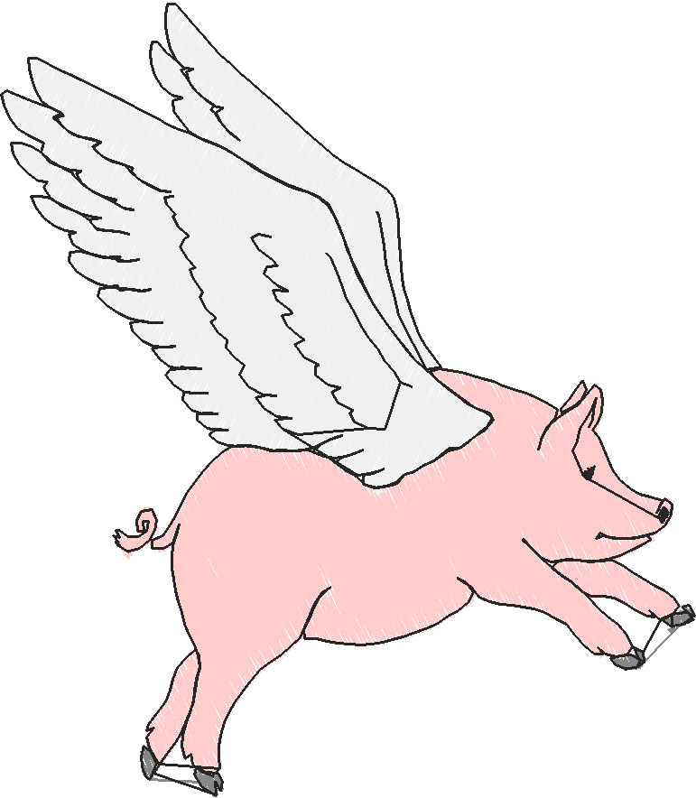 Funny Animals 1  (43)