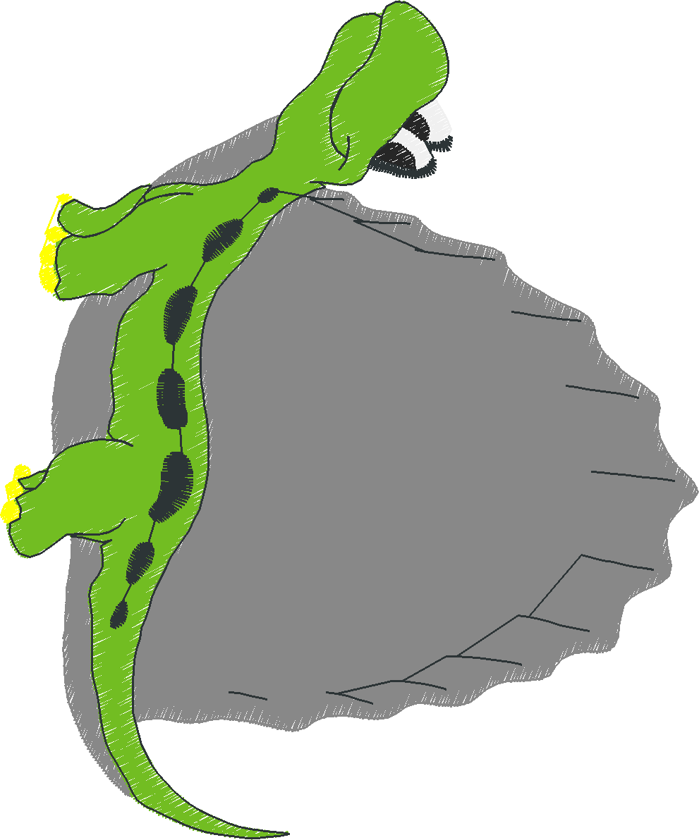 Funny Animals 1  (68)