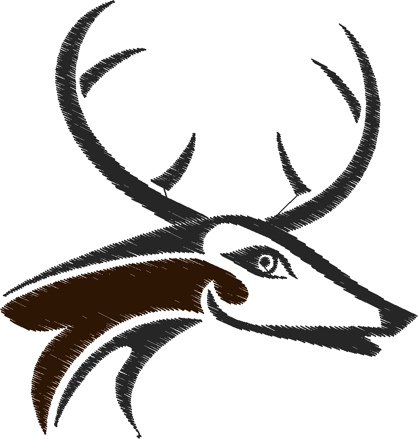 Funny Animals 1  (75)