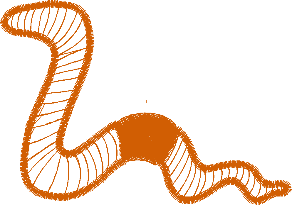 Funny Animals 1  (98)