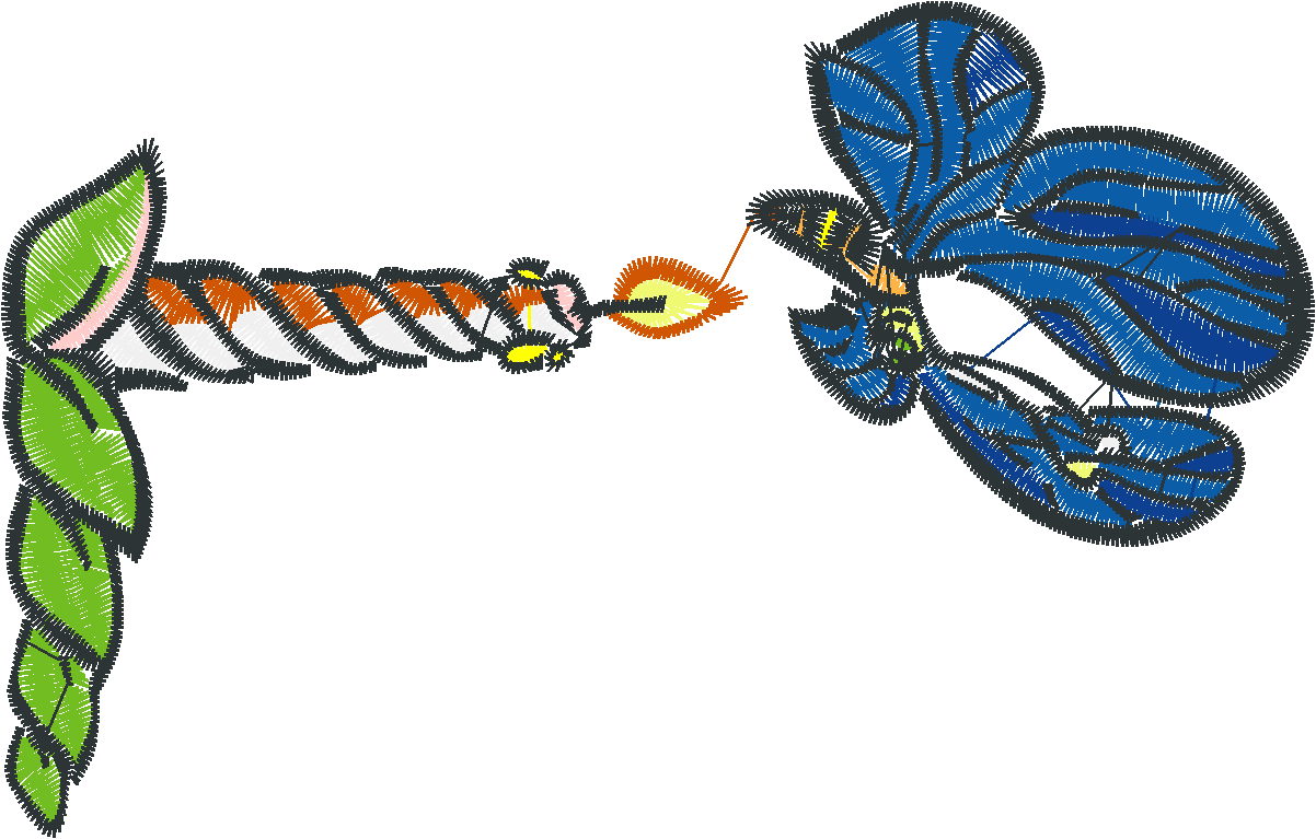 Funny Borders 1  (8)