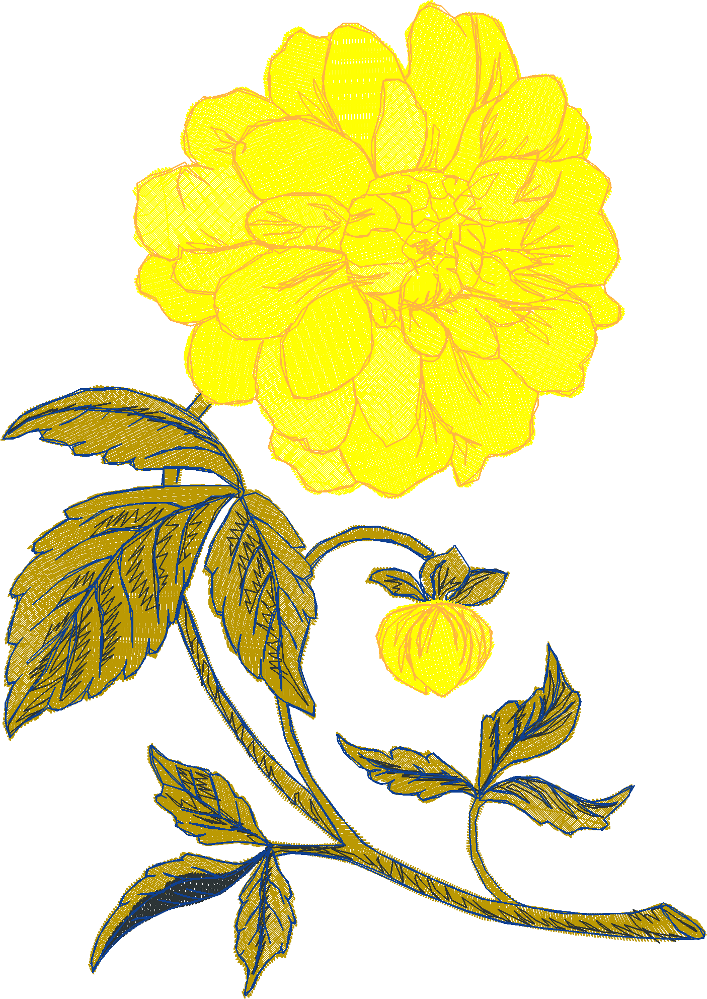 Garden Flowers 1 (10)