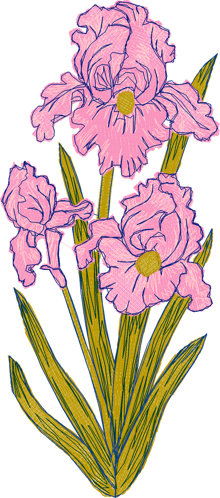 Garden Flowers 1 (11)