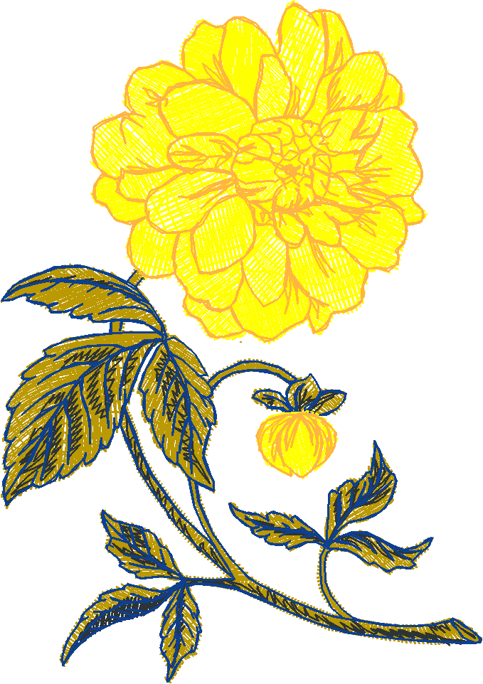 Garden Flowers 1 (5)