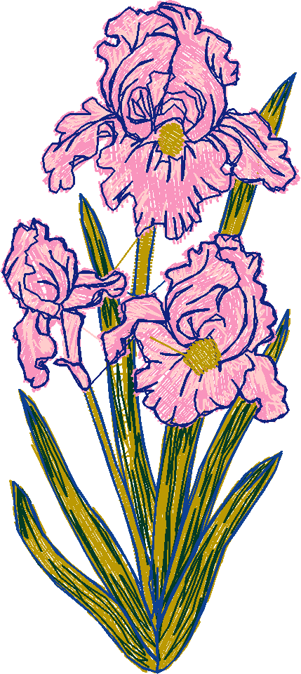 Garden Flowers 1 (6)