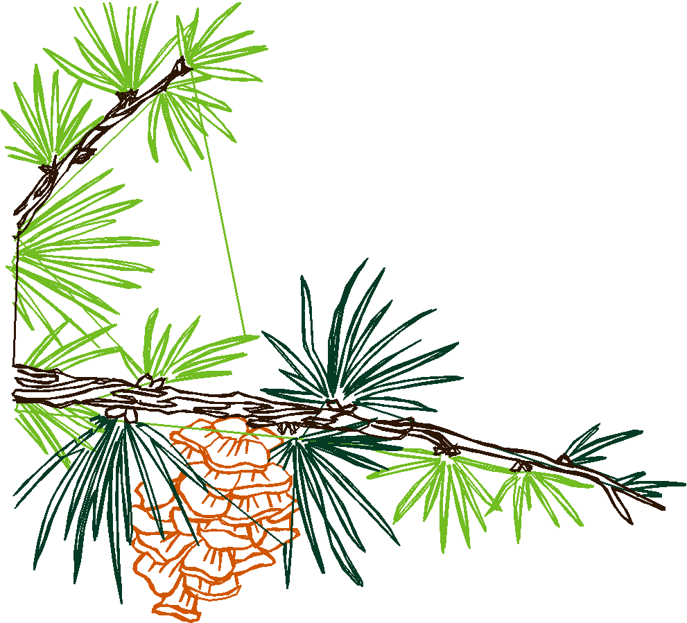 Garden Friends 1  (17)