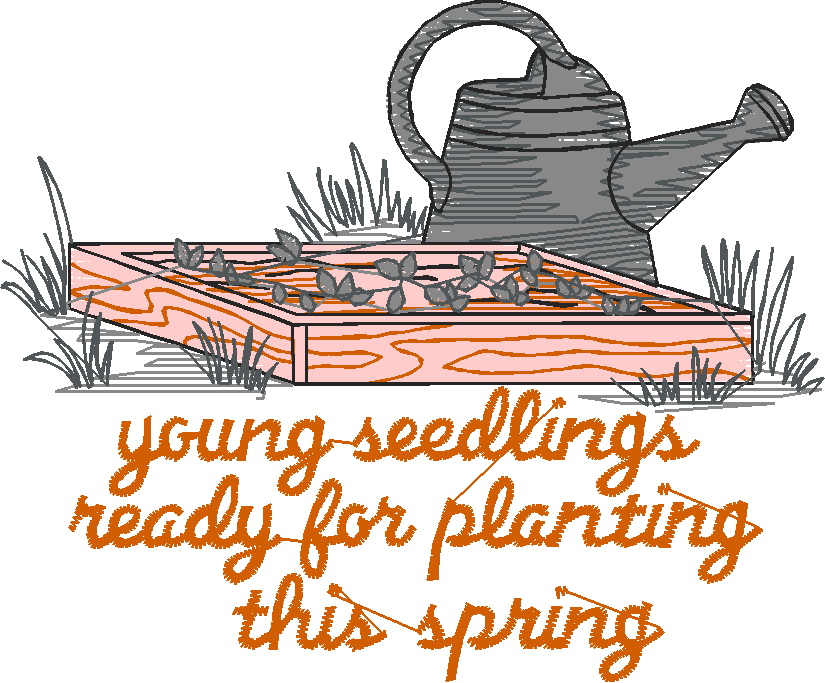 Gardener's Diary 1  (8)