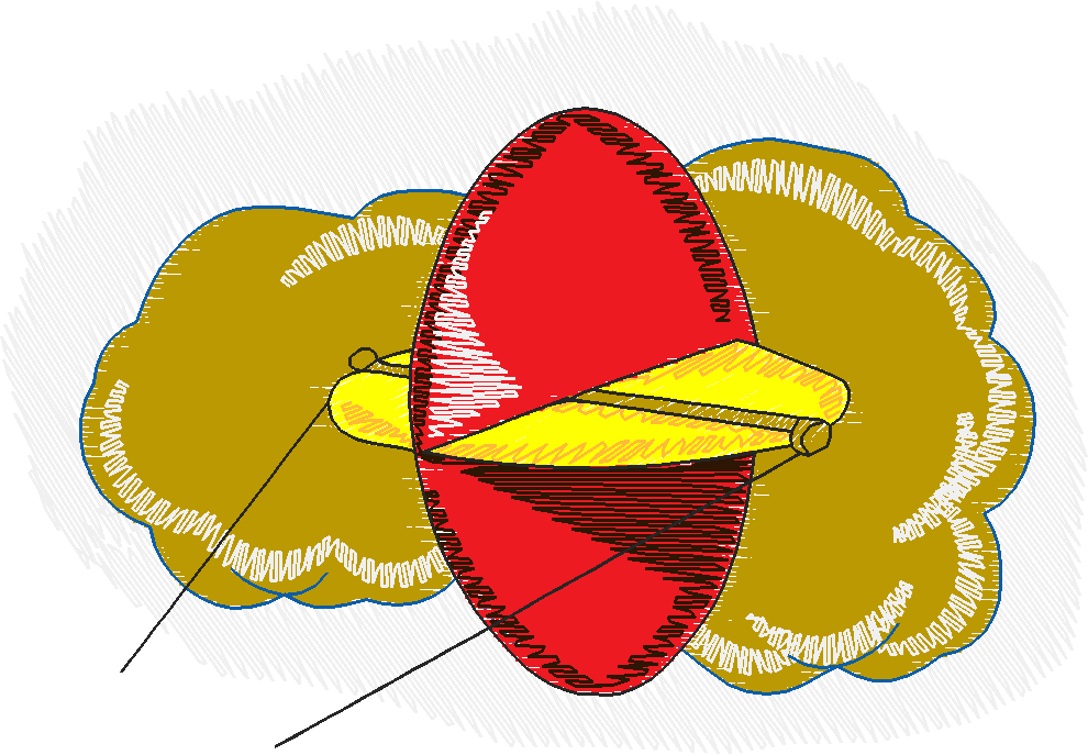 Go Fly A Kite 1  (3)