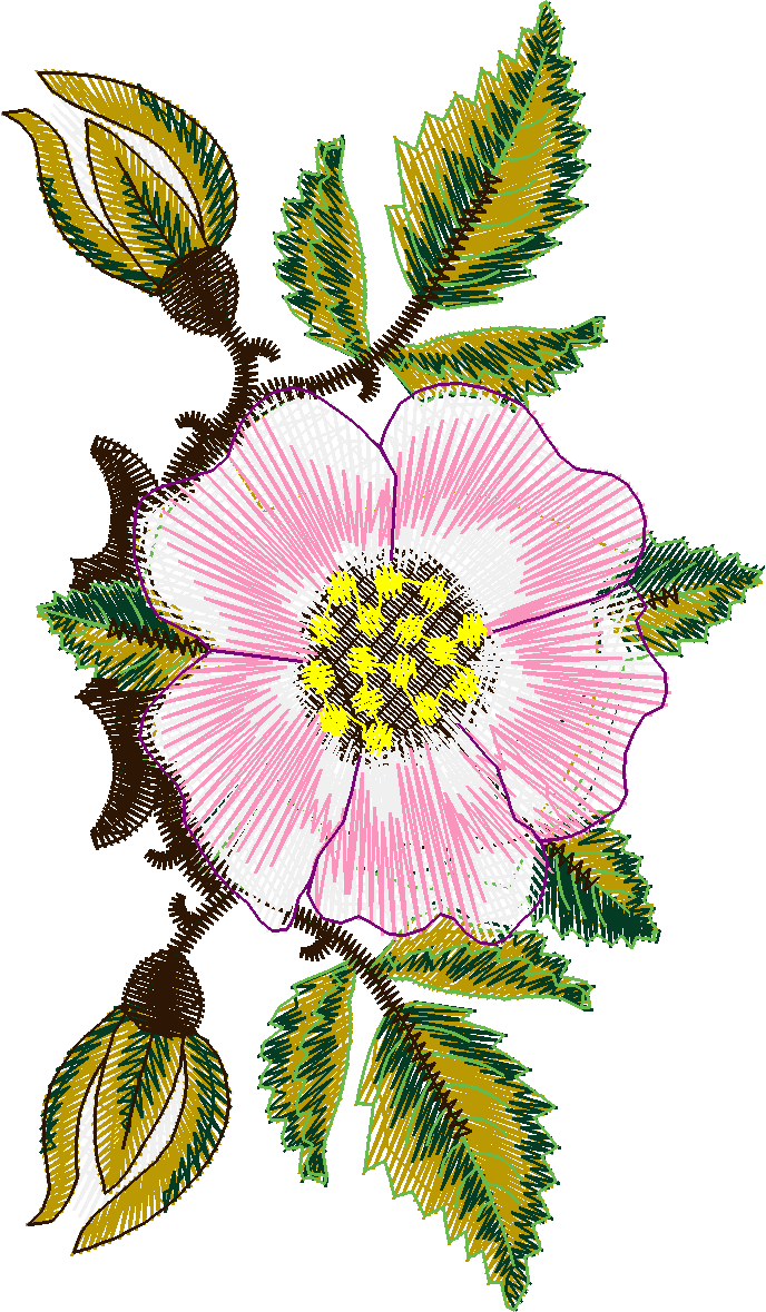 Golden Classics 1  (12)