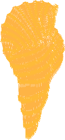 Golden Jewellery 1 (9)