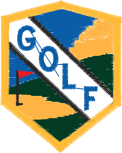 Golf 6  (17)