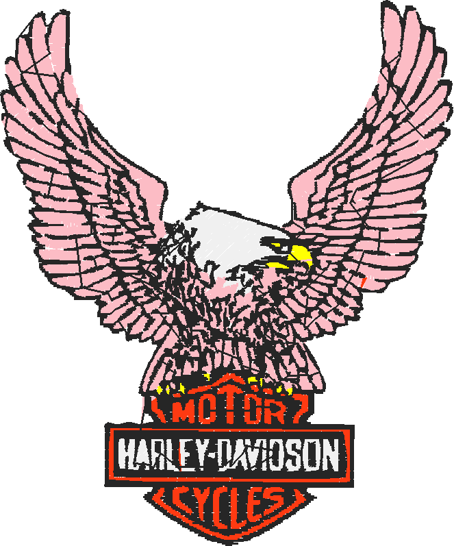 Harley Davidson 1  (13)