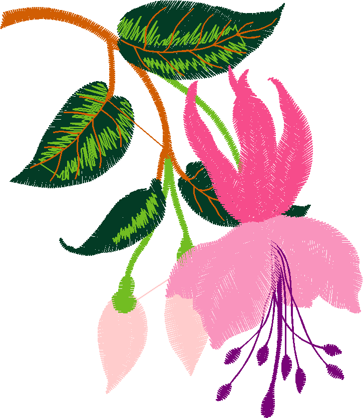 Hatched Africa 1  (10)