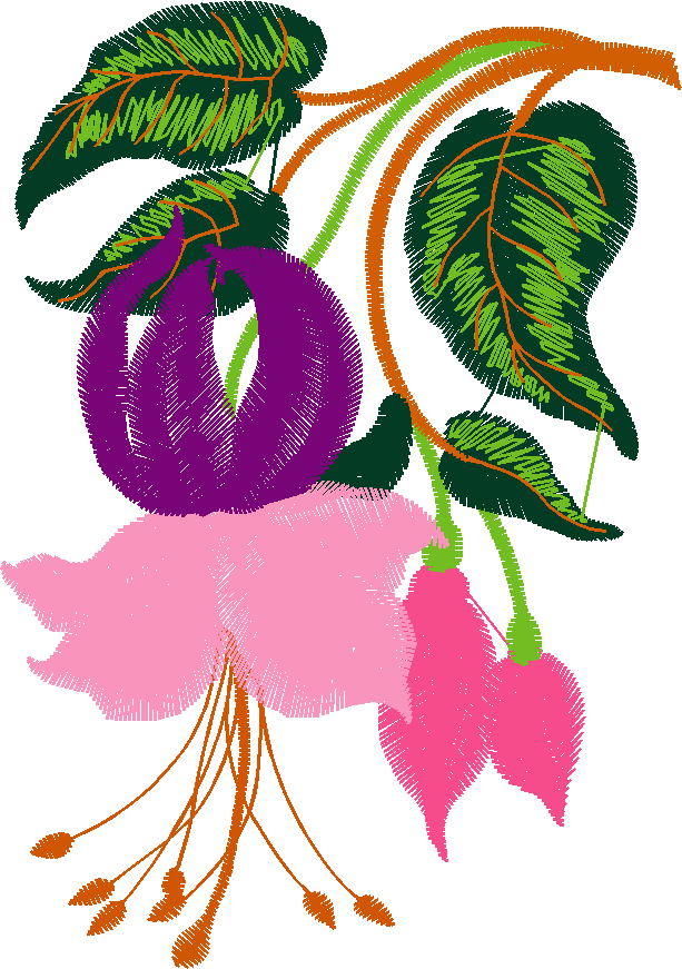 Hatched Africa 1  (12)