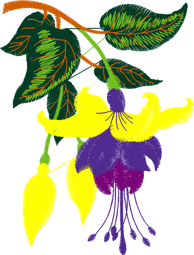 Hatched Africa 1  (13)