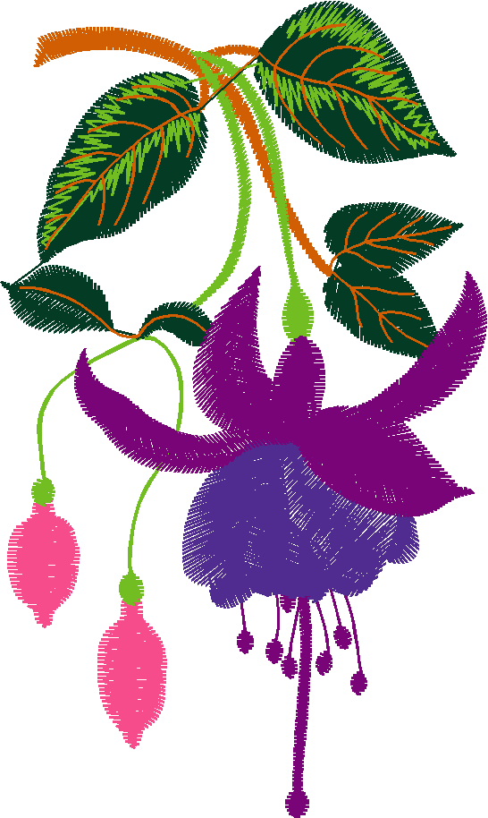 Hatched Africa 1  (14)