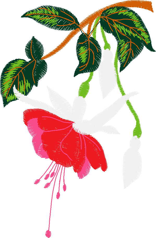 Hatched Africa 1  (15)