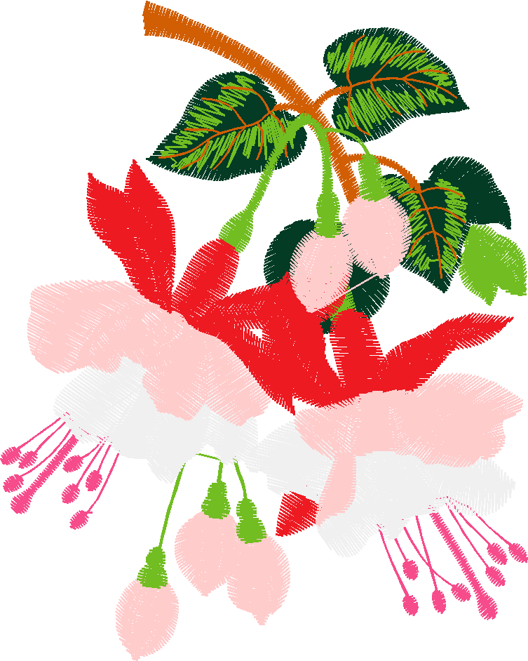 Hatched Africa 1  (17)