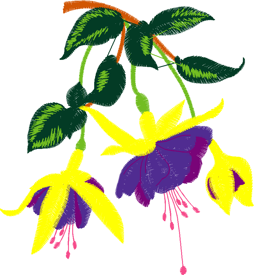 Hatched Africa 1  (18)