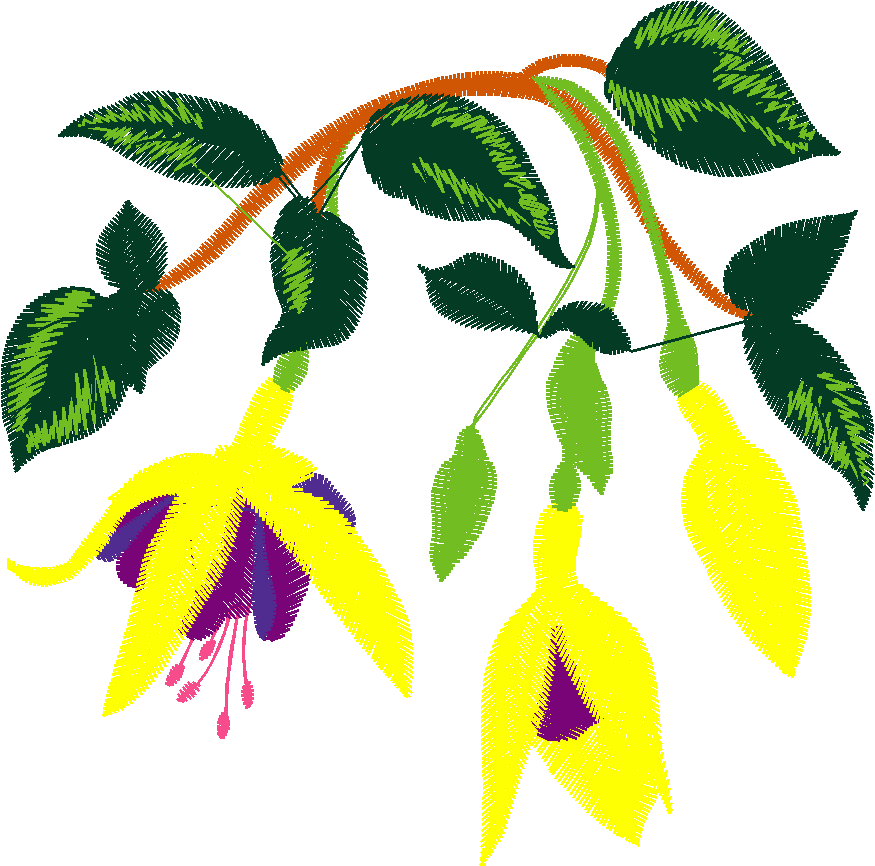 Hatched Africa 1  (19)