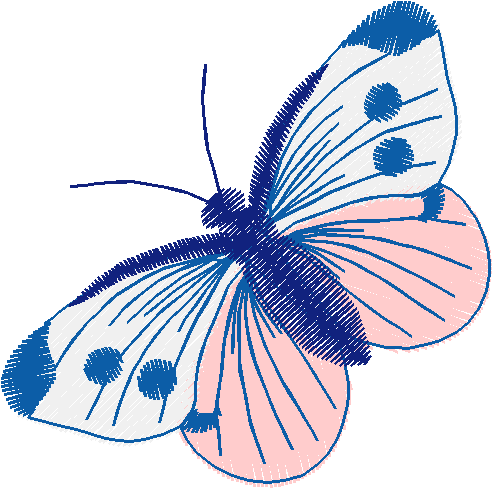 Hatched Africa 1  (2)