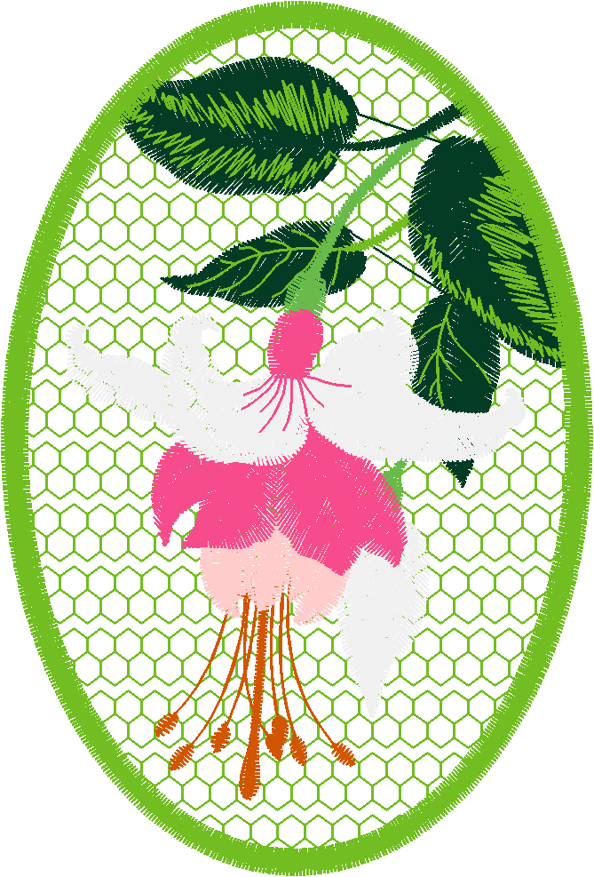 Hatched Africa 1  (24)