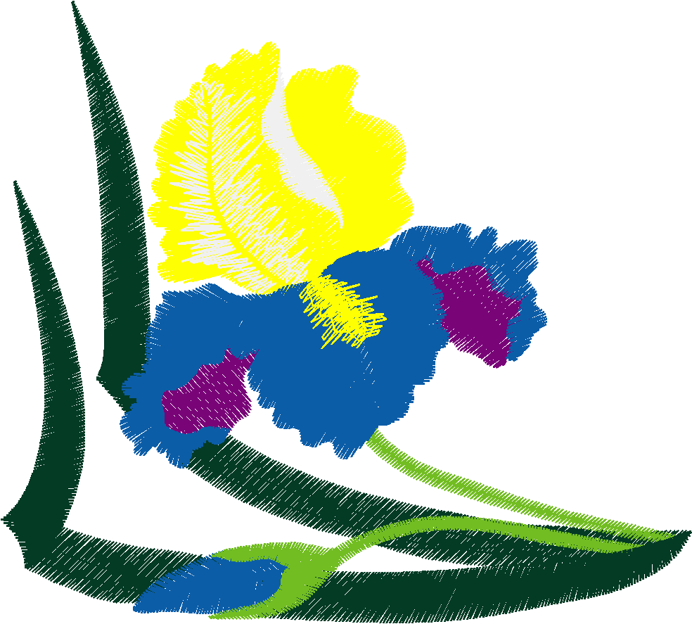 Hatched Africa 1  (31)