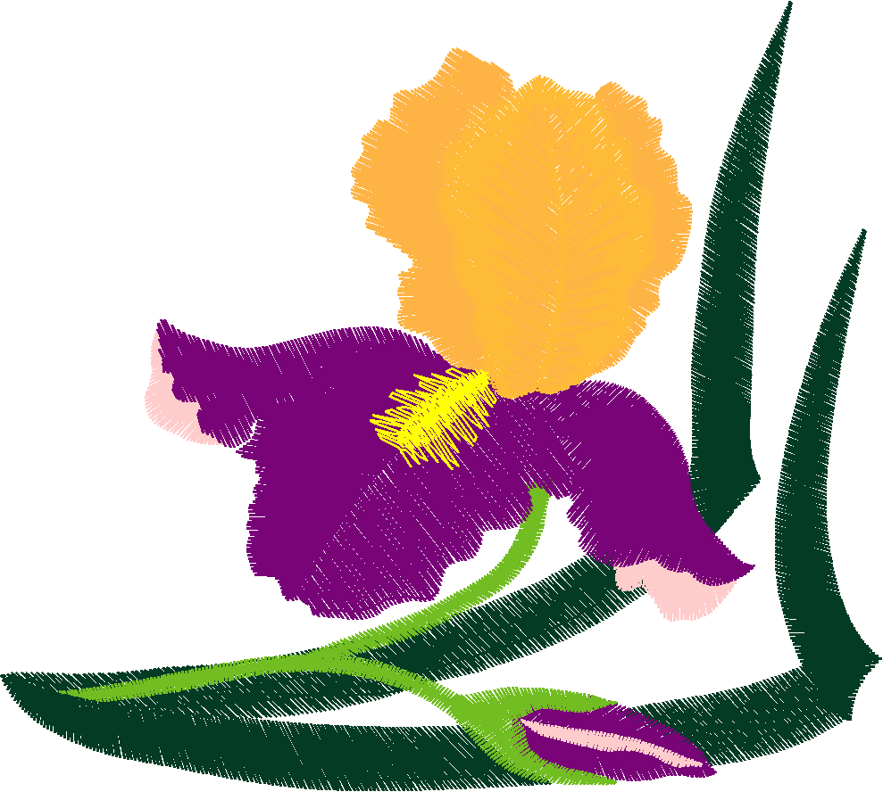 Hatched Africa 1  (32)