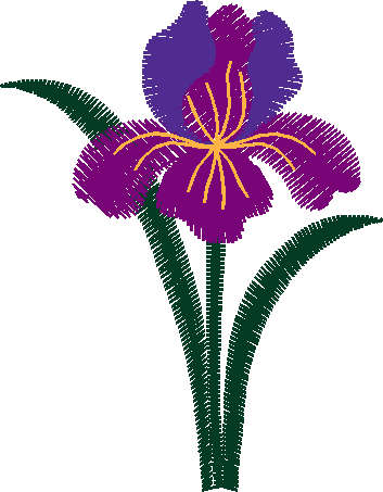 Hatched Africa 1  (38)